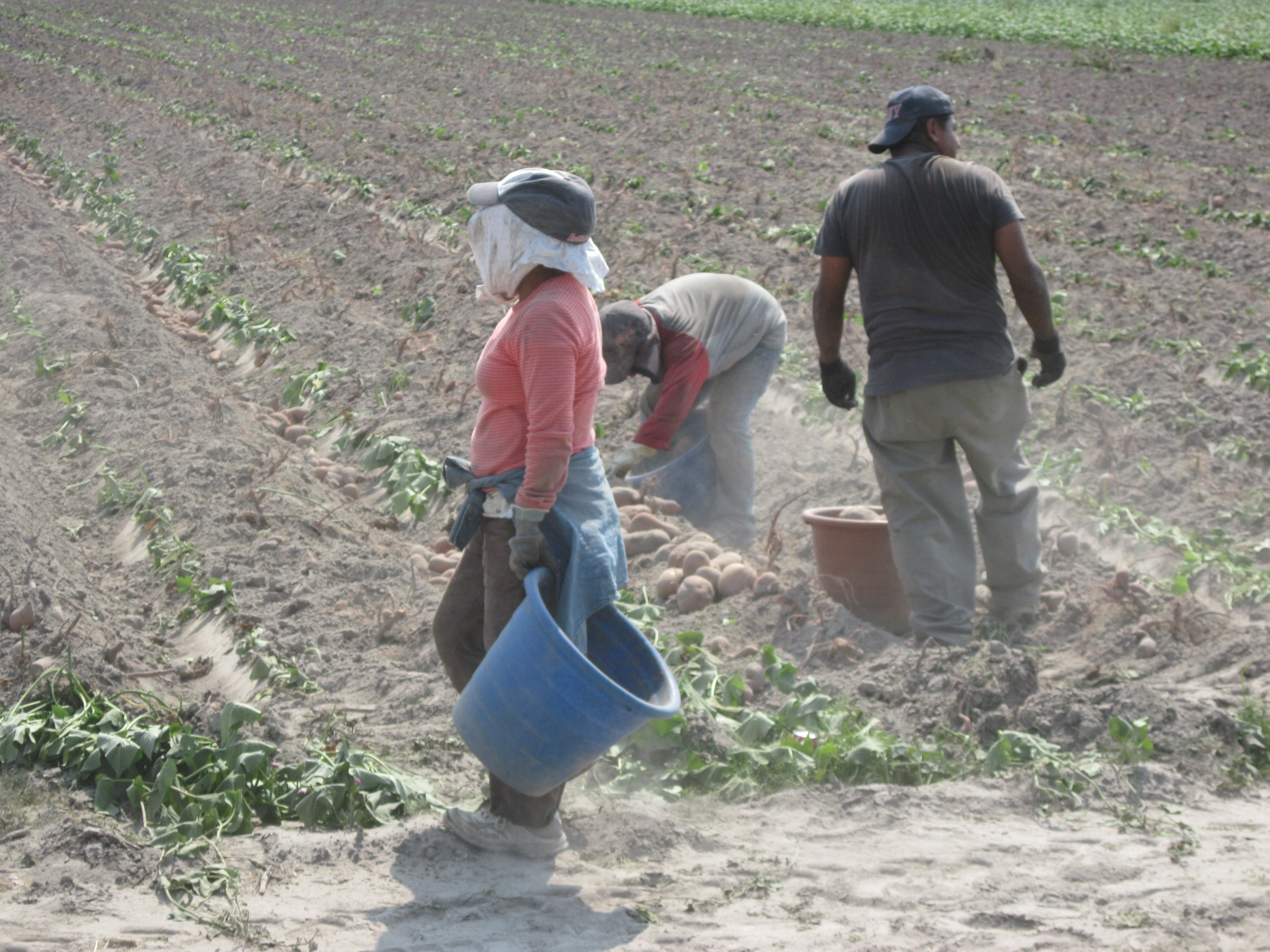 Services Programs Episcopal Farmworker Ministry